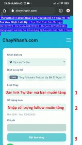 Lựa Chọn Dịch Vụ Phù Hợp, Dán Link Và Nhập Số Follow Cần Tăng