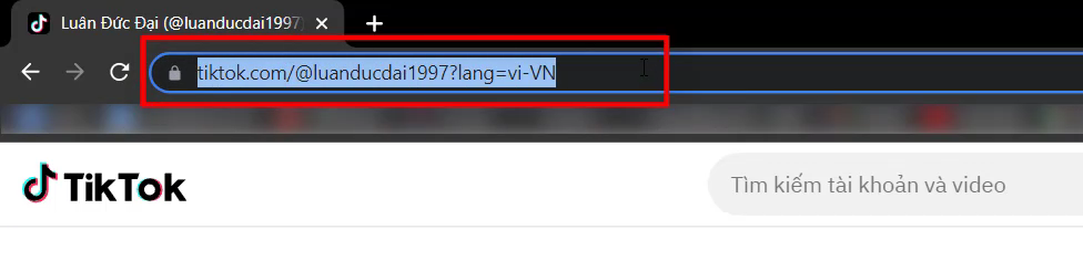 Sao Chép Link Tài Khoản Tik Tok Cá Nhân Trên Thanh Tìm Kiếm