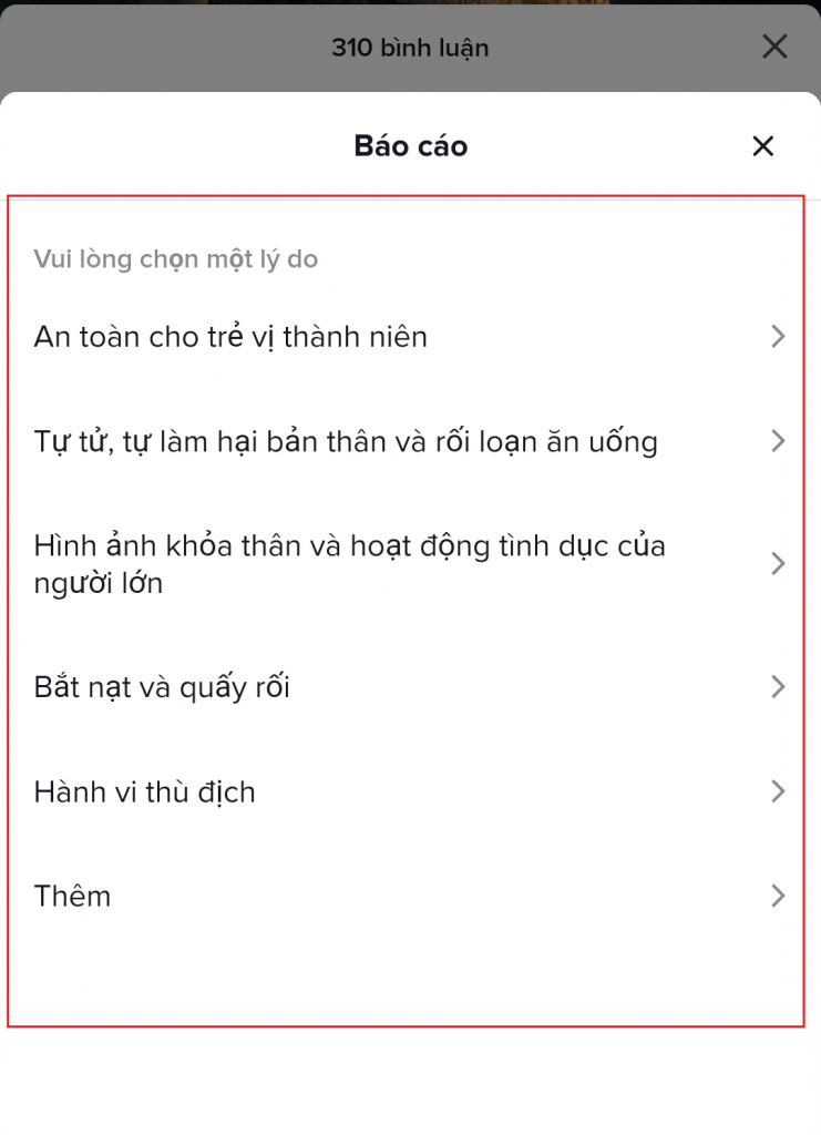 Chọn Mục Báo Cáo Vi Phạm Phù Hợp